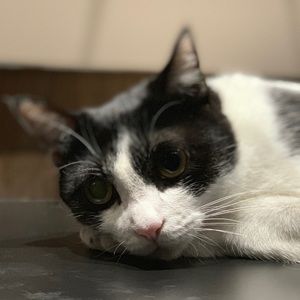 Meet your Posher, Jo